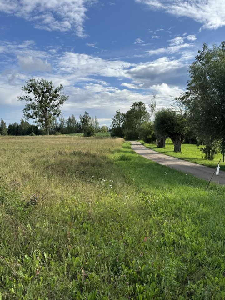 Działka budowlana Trygort. Zdjęcie 6