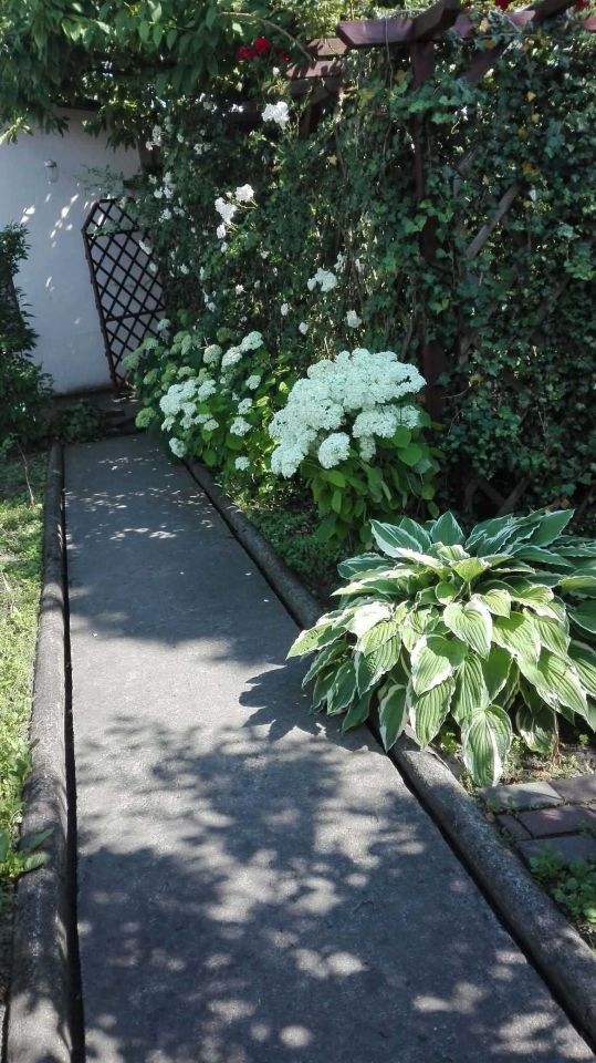 Działka rod Grudziądz, ul. Ludwika Waryńskiego. Zdjęcie 3