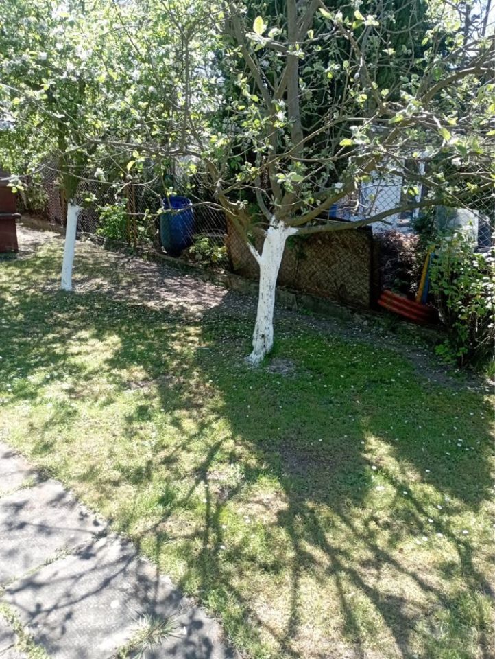 Działka rod Kędzierzyn-Koźle Żabiniec. Zdjęcie 7