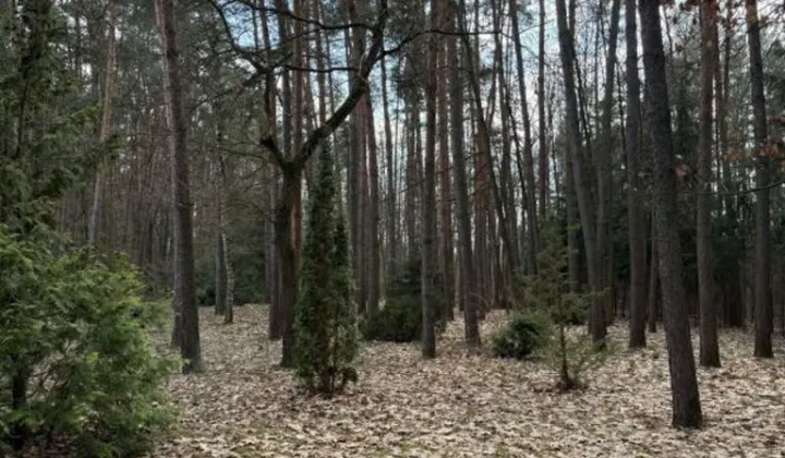 Działka budowlana Bieniewiec, ul. Spacerowa
