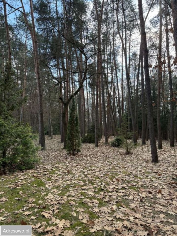 Działka budowlana Bieniewiec, ul. Spacerowa. Zdjęcie 1