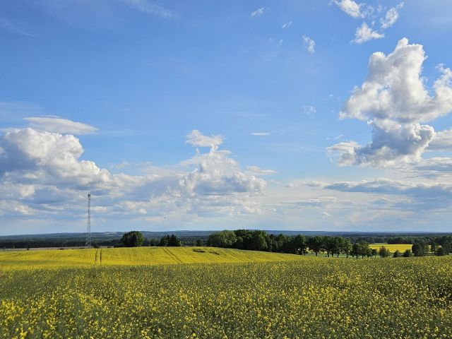 Działka budowlana Trzebicko. Zdjęcie 1