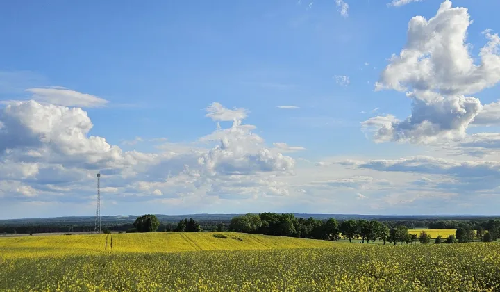 Działka budowlana Trzebicko