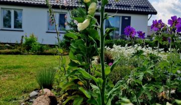 dom wolnostojący Pasym, ul. Cicha