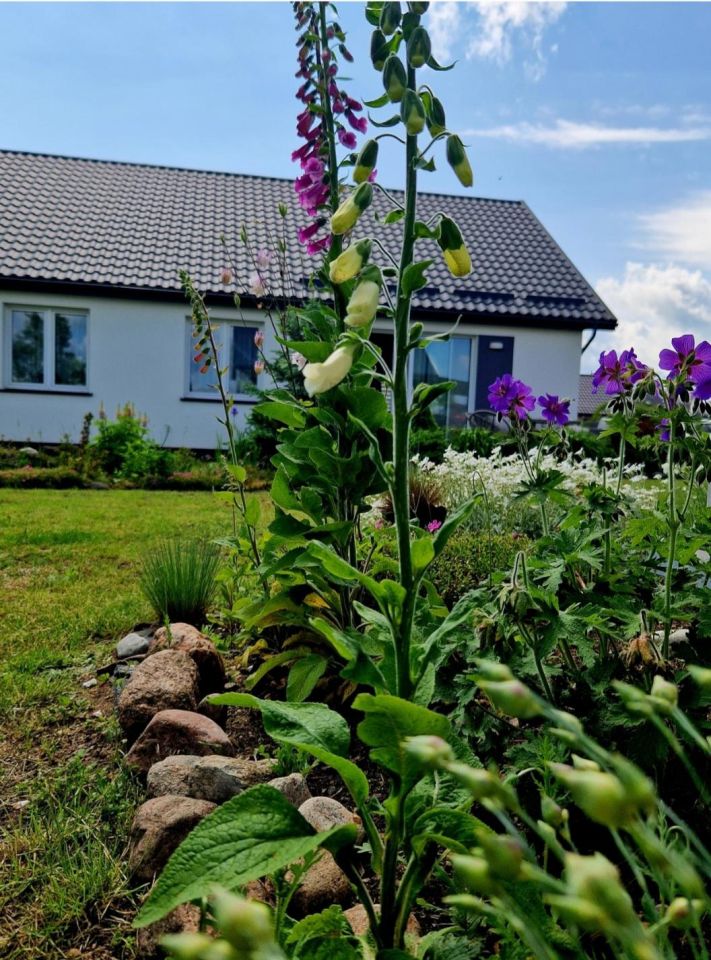 dom wolnostojący Pasym, ul. Cicha