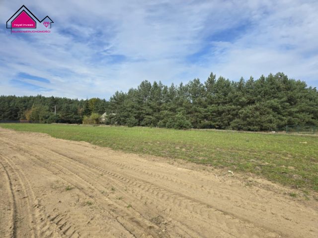 Działka rekreacyjna Adamowo. Zdjęcie 7