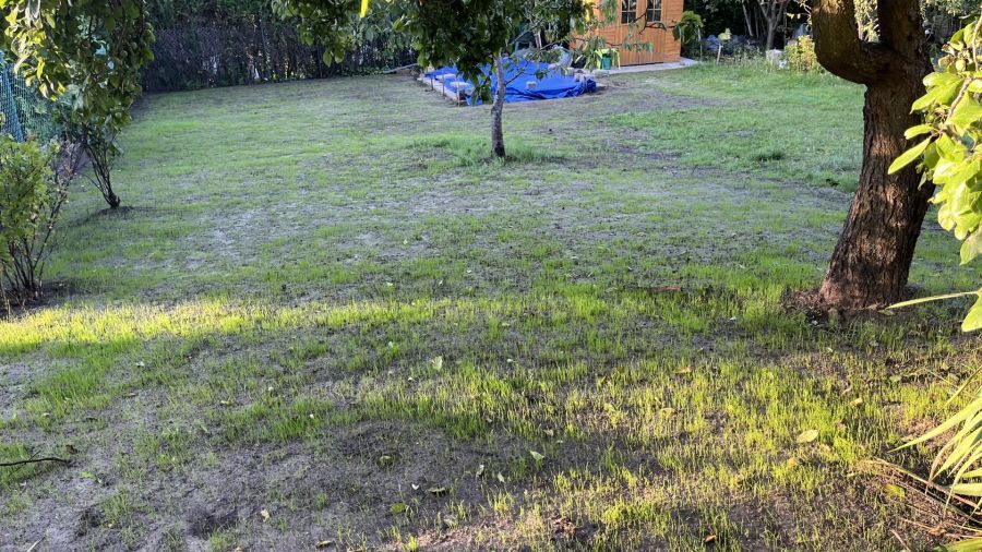 Działka rod Gdańsk Morena, ul. Wołkowyska. Zdjęcie 12