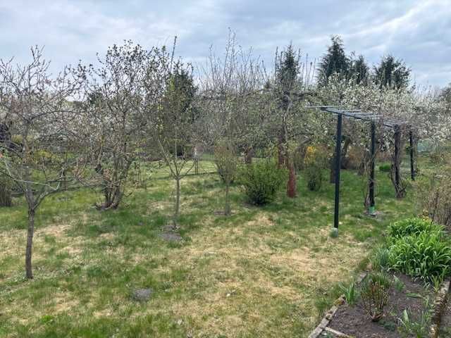 Działka rod Zielona Góra Stary Kisielin. Zdjęcie 4