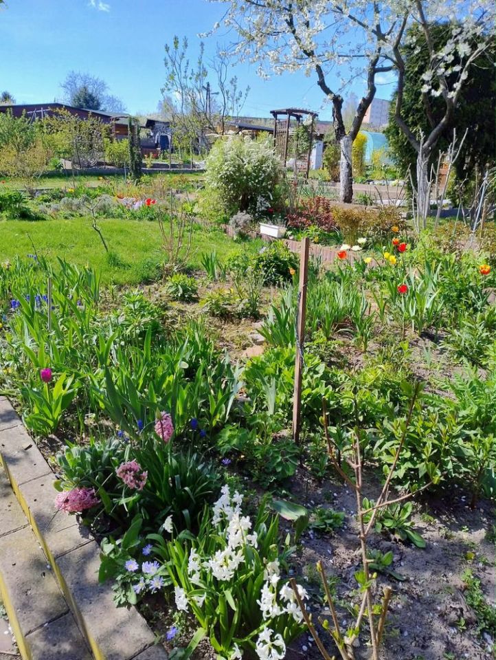 Działka rod Starachowice, ul. Martenowska. Zdjęcie 4