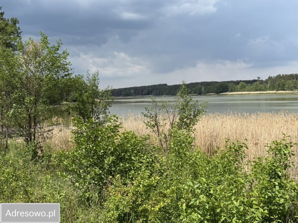 Działka rekreacyjna Zaździerz. Zdjęcie 15