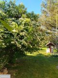 dom wolnostojący, 3 pokoje Lipce Reymontowskie, ul. Cicha. Zdjęcie 1