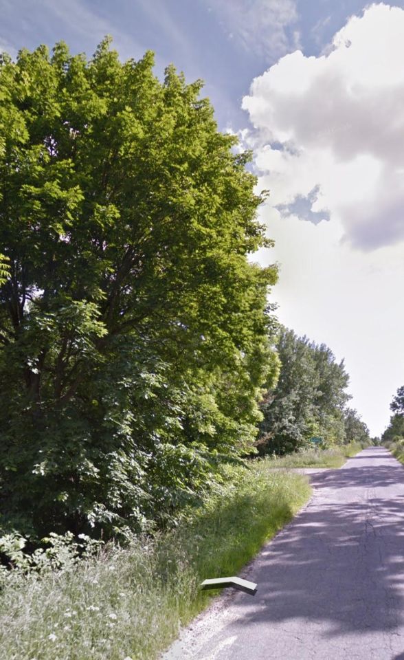 Działka rolna Zyndaki Bałowo. Zdjęcie 9