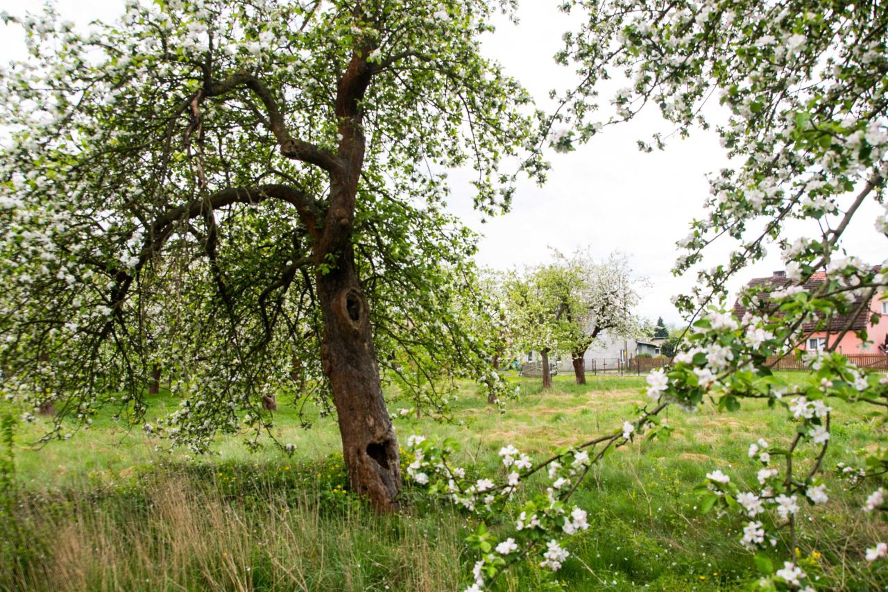 Działka budowlana Zawisze. Zdjęcie 4
