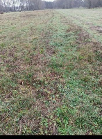 Działka rolno-budowlana Brzuza. Zdjęcie 1