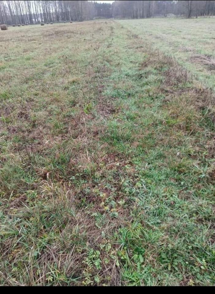 Działka rolno-budowlana Brzuza. Zdjęcie 1