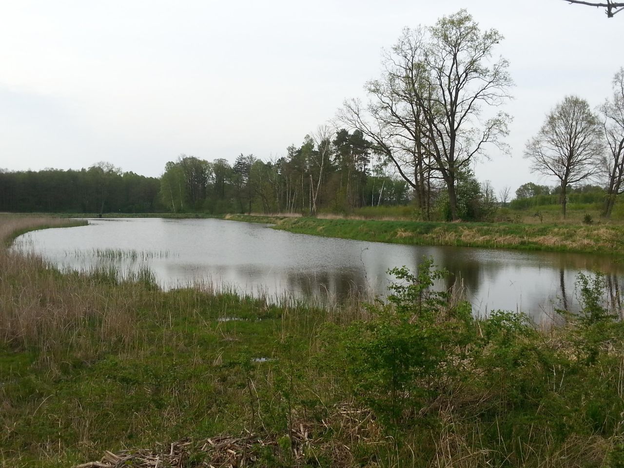 Działka budowlana Kiki, ul. Nasza. Zdjęcie 7