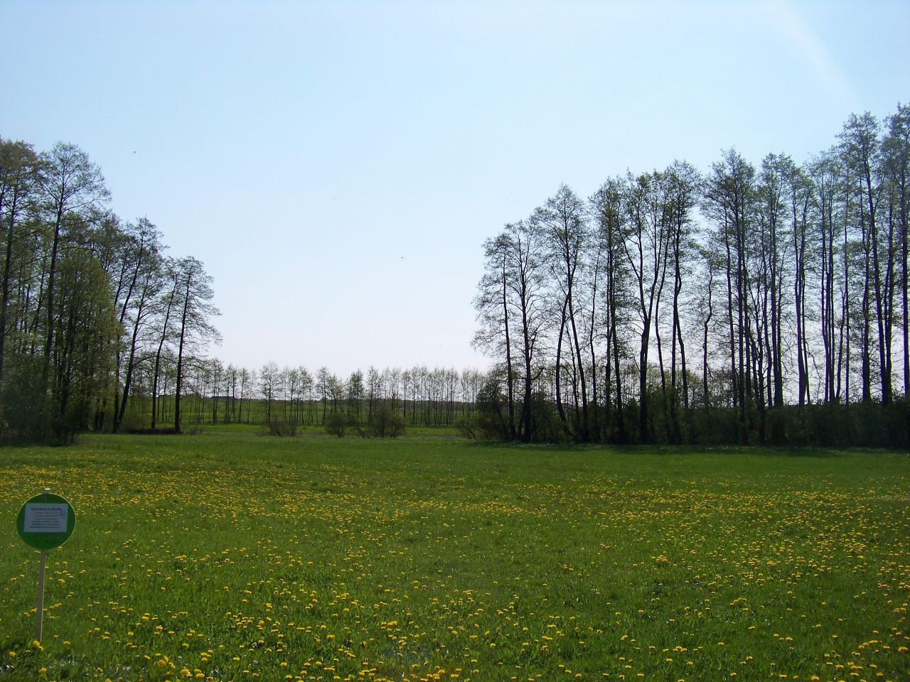 Działka rolna Czaple Górne. Zdjęcie 2