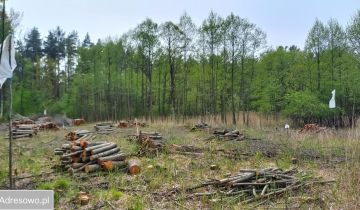 Działka budowlana Pilawa, ul. Jana Kochanowskiego