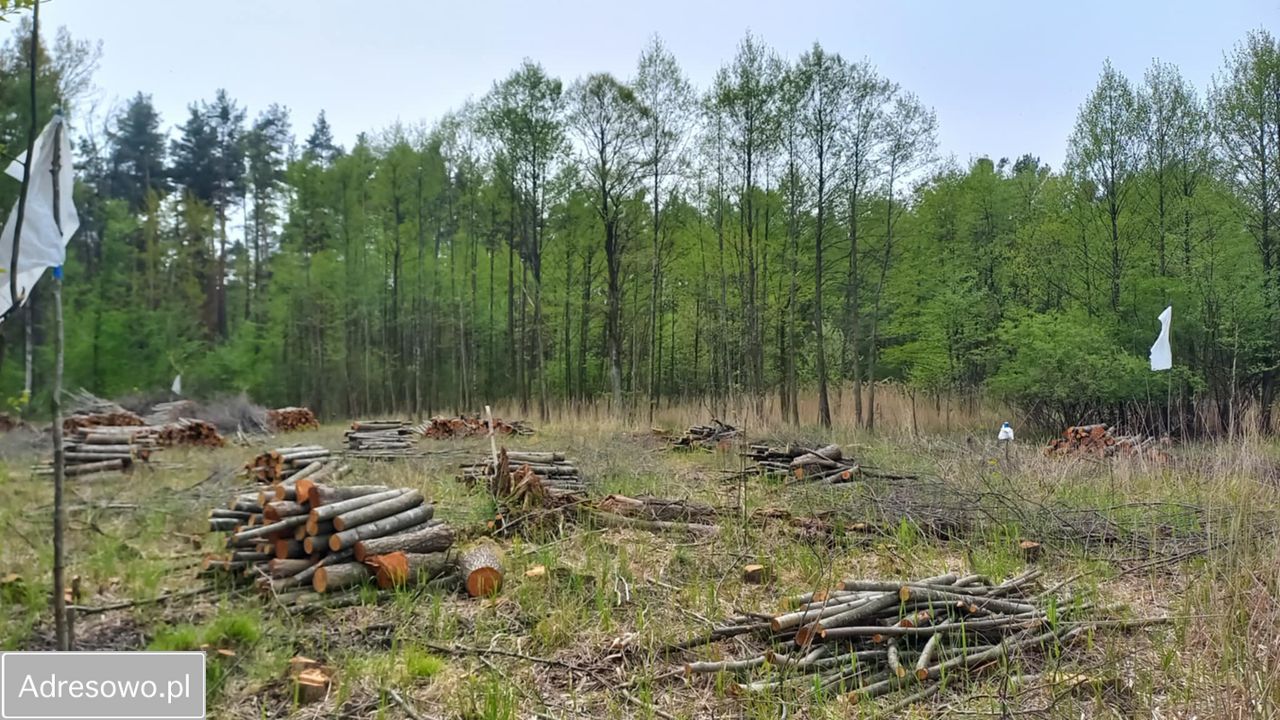 Działka budowlana Pilawa, ul. Jana Kochanowskiego. Zdjęcie 2