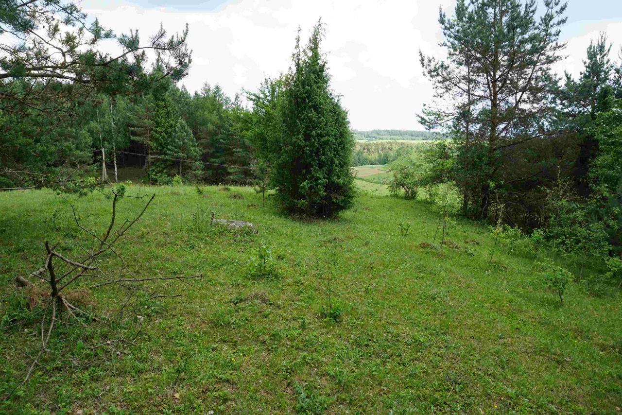 Działka siedliskowa Osinki. Zdjęcie 15