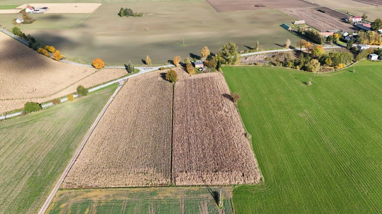 siedlisko Łobdowo. Zdjęcie 5