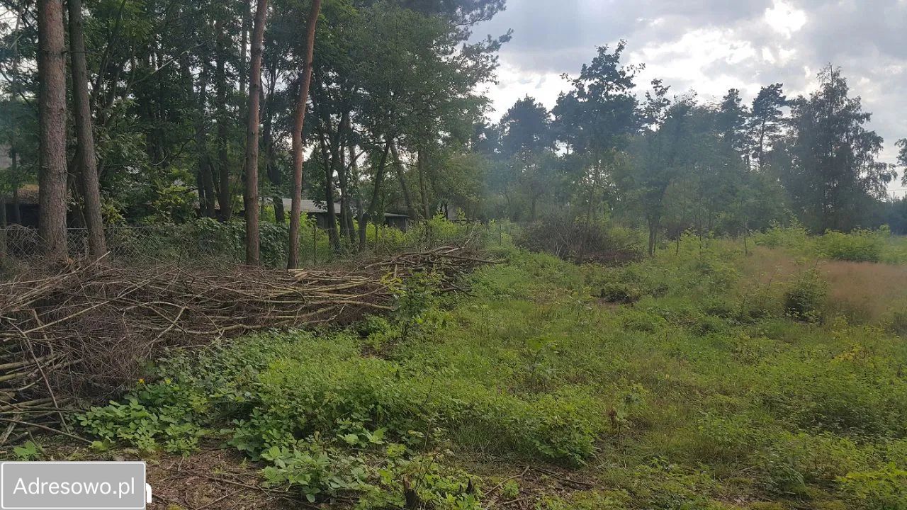 Działka rolno-budowlana Grodnia. Zdjęcie 11