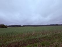 Działka budowlana Węgrów Nowiny, Miodowa. Zdjęcie 4
