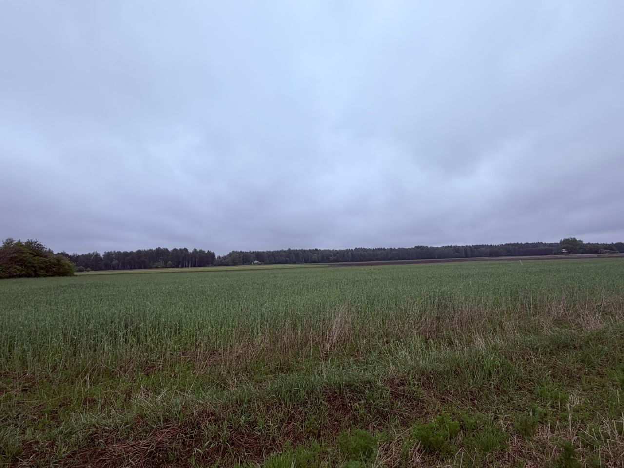 Działka budowlana Węgrów Nowiny, Miodowa. Zdjęcie 5