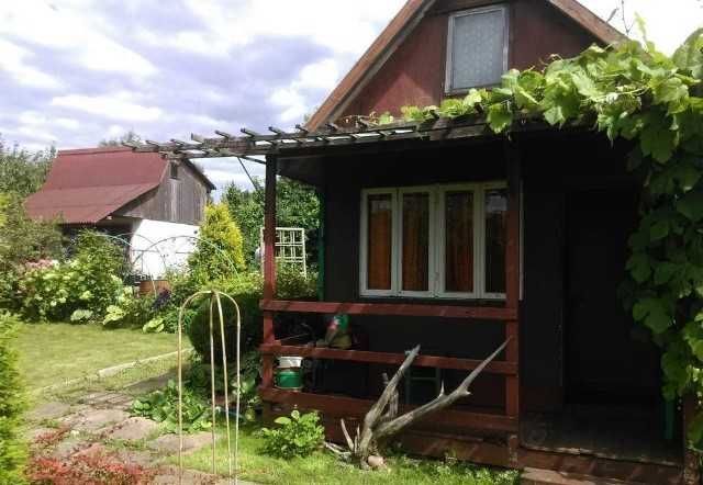 Działka rekreacyjna Suwałki, ul. Sianożęć. Zdjęcie 1