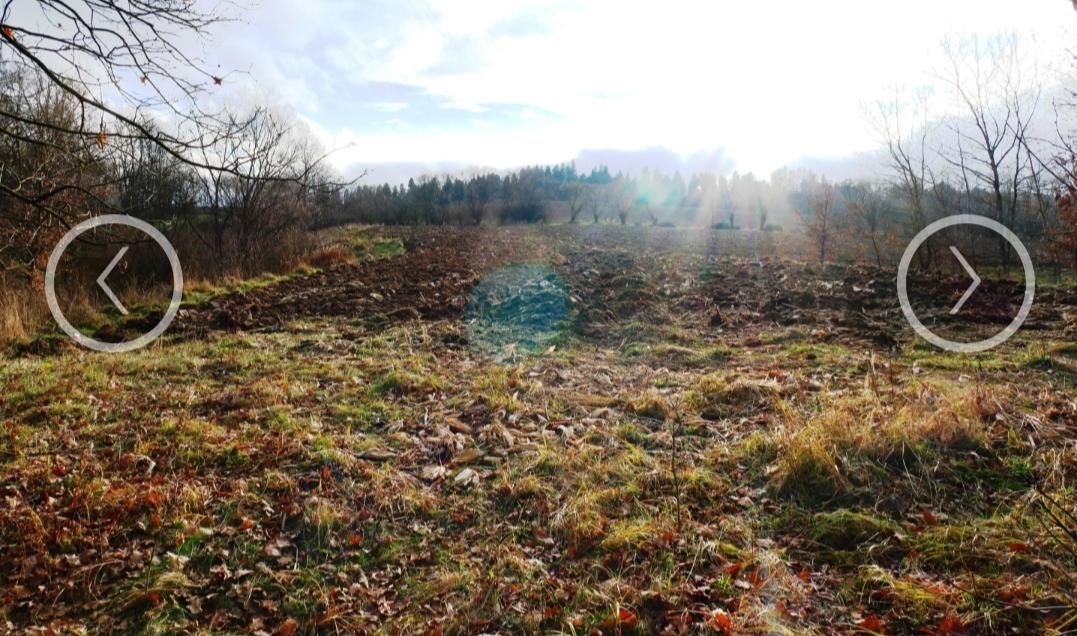 Działka rolno-budowlana Witryłów Rzeki nad Sanem. Zdjęcie 2