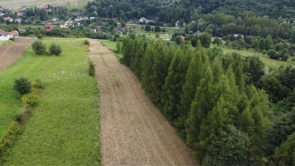 Działka rolna Niskowa. Zdjęcie 5