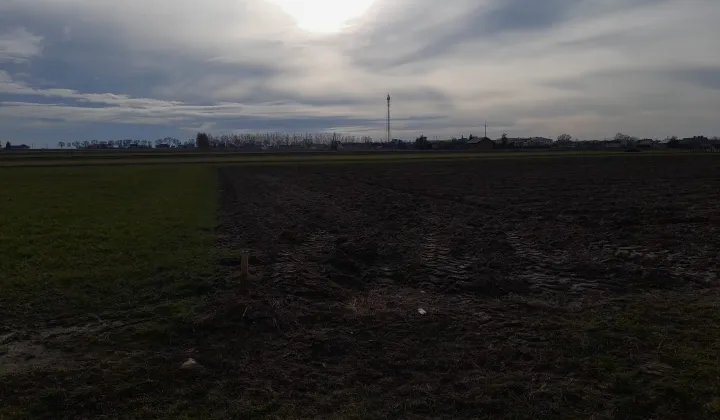 Działka rolno-budowlana Wierzchlas, ul. Polna