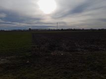 Działka rolno-budowlana Wierzchlas, ul. Polna