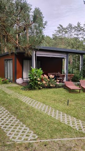 Działka rekreacyjna Nowy Jasiniec. Zdjęcie 1