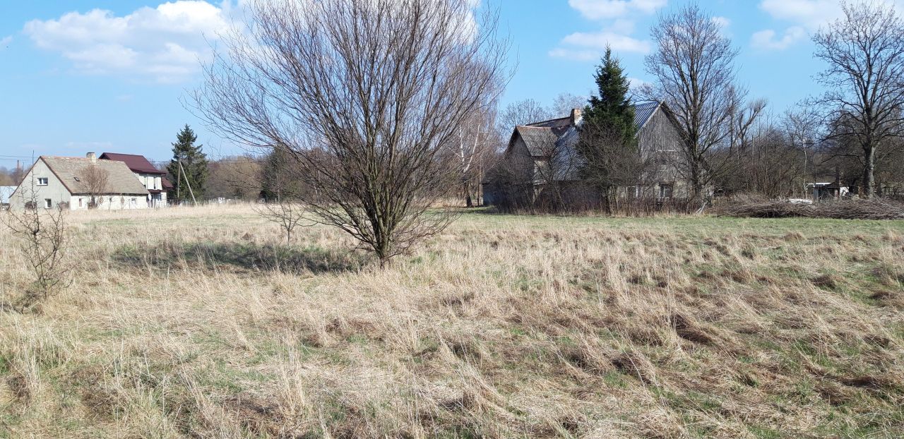 gospodarstwo, 9 pokoi Długopole Dolne. Zdjęcie 4