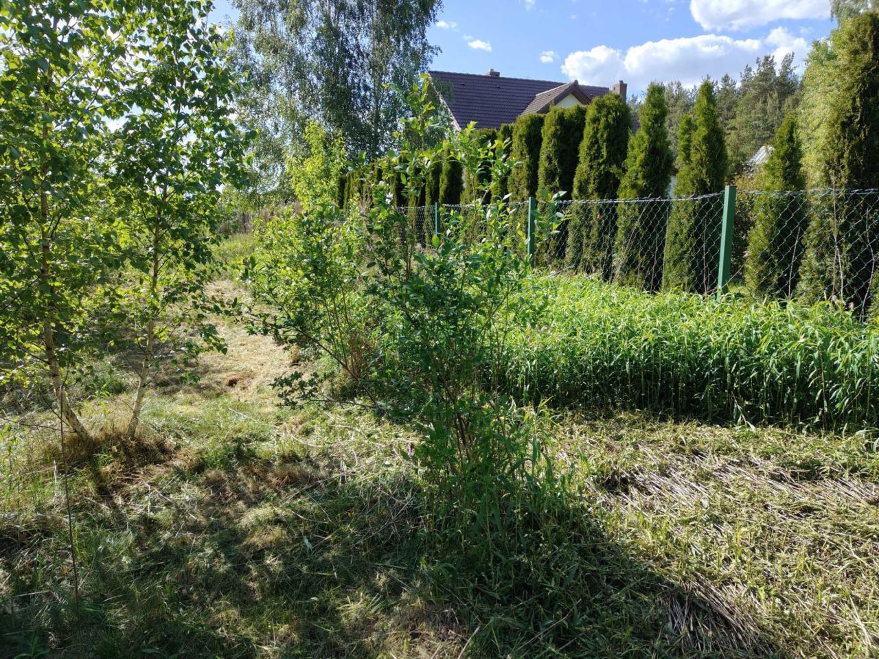 Działka budowlana Józefowo, ul. Lipowa. Zdjęcie 5