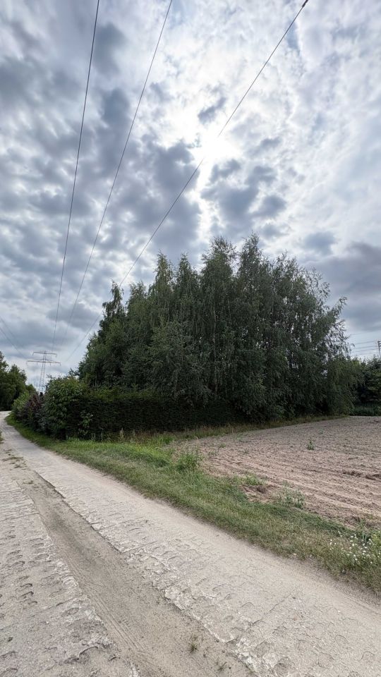 Działka rekreacyjna Julianowo. Zdjęcie 6