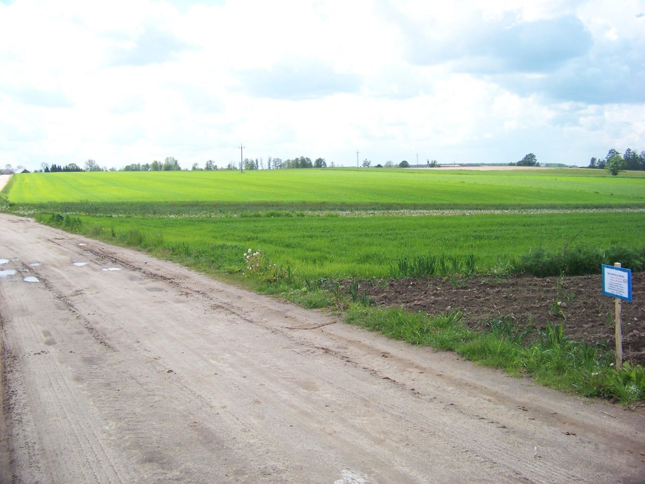 Działka rolna Kostki, brak. Zdjęcie 2