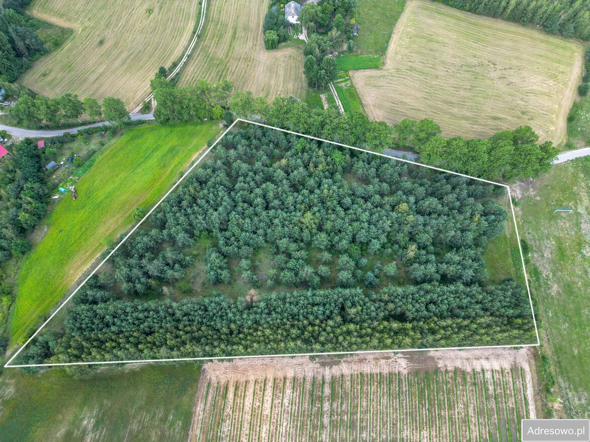 Działka rolno-budowlana Lorki. Zdjęcie 7