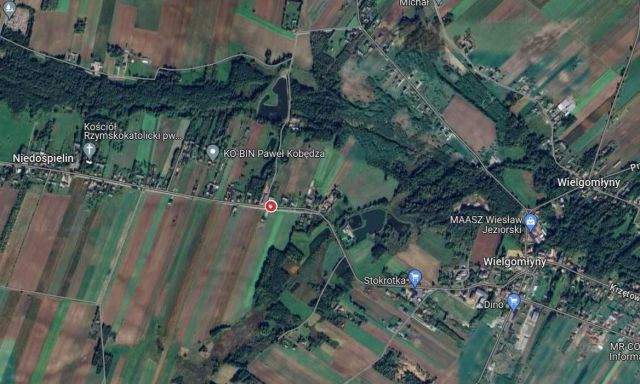 Działka rolno-budowlana Niedośpielin. Zdjęcie 1