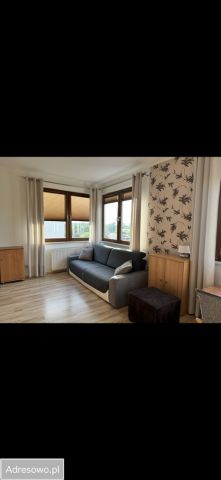 Mieszkanie 1-pokojowe Szczecin, ul. Sebastiana Klonowica. Zdjęcie 1