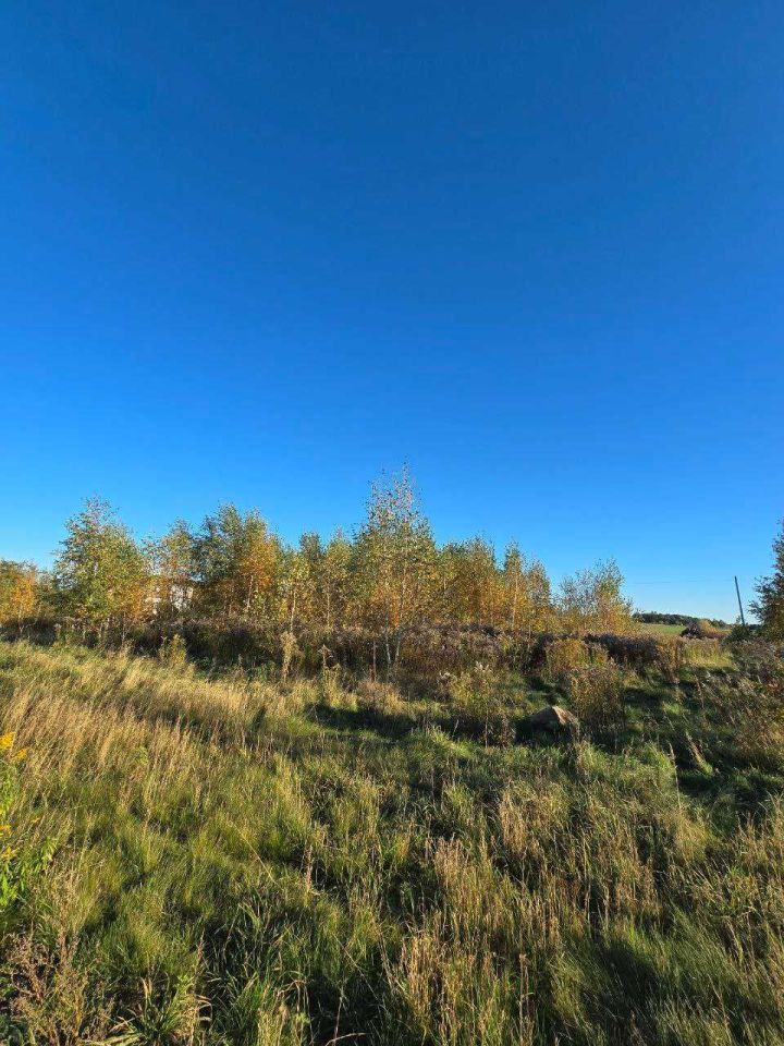 Działka budowlana Piątki. Zdjęcie 3