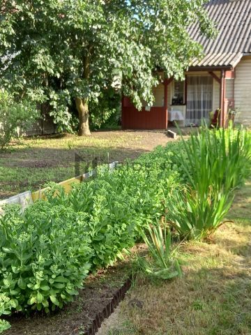 Działka siedliskowa Gościewicz. Zdjęcie 2