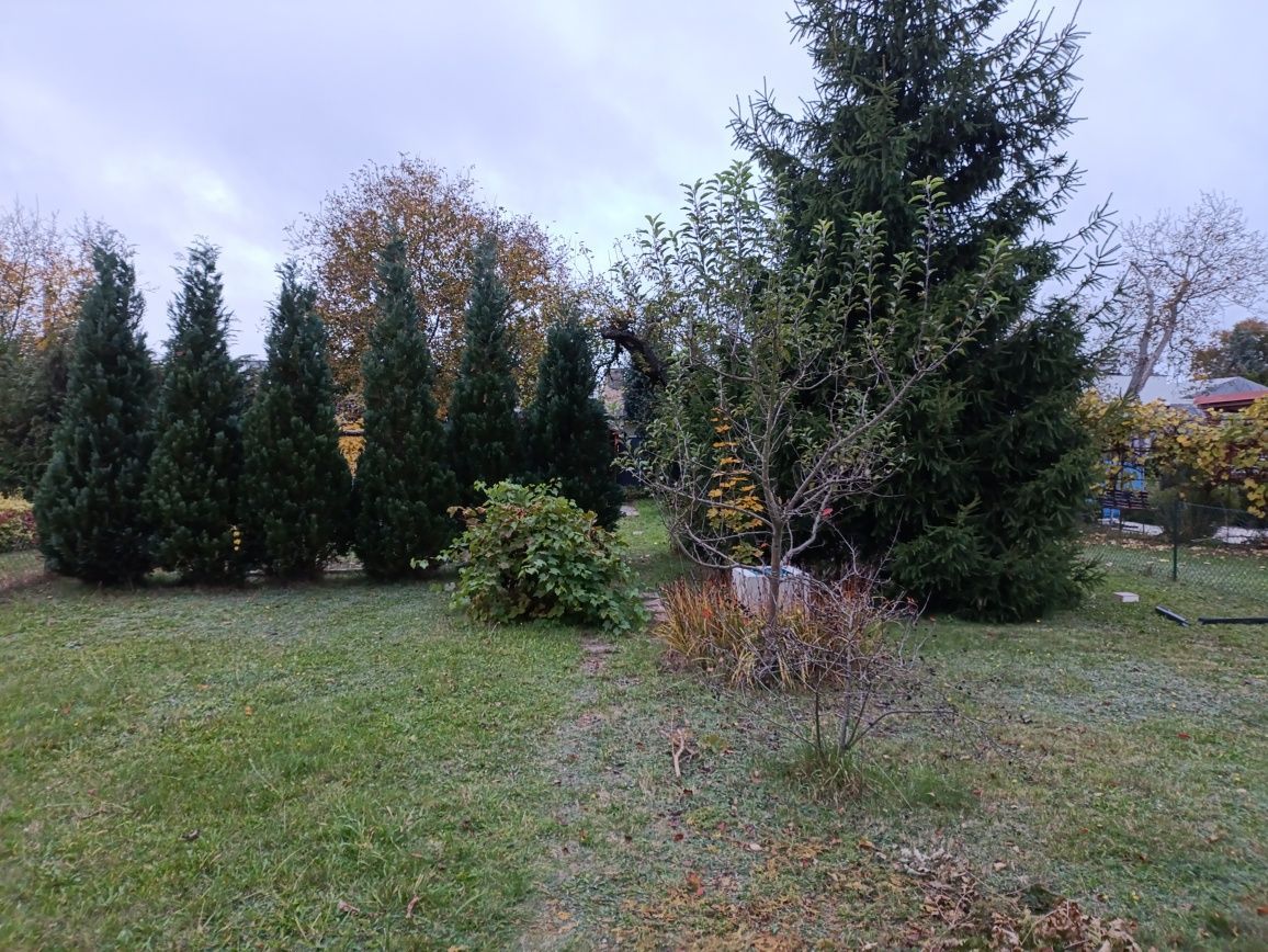 Działka rod Żagań. Zdjęcie 7