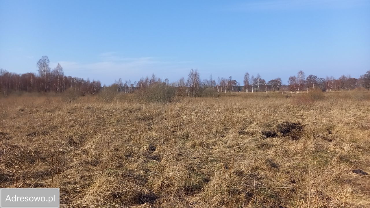 Działka rolna Sasino, ul. Żurawia. Zdjęcie 15