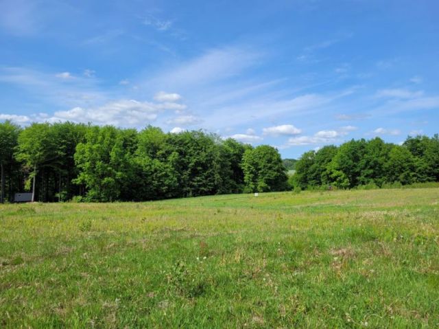 Działka budowlana Trzepowo, ul. Książąt Pomorskich. Zdjęcie 1