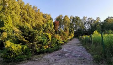 Działka budowlana Wodzisław Śląski