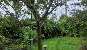 bliźniak, 3 pokoje Broszków