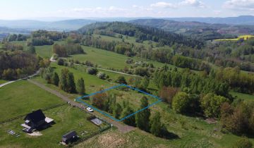 Działka rolno-budowlana Włodowice