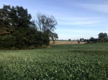 Działka rolno-budowlana Wałdowo Królewskie, ul. Izbicka. Zdjęcie 2